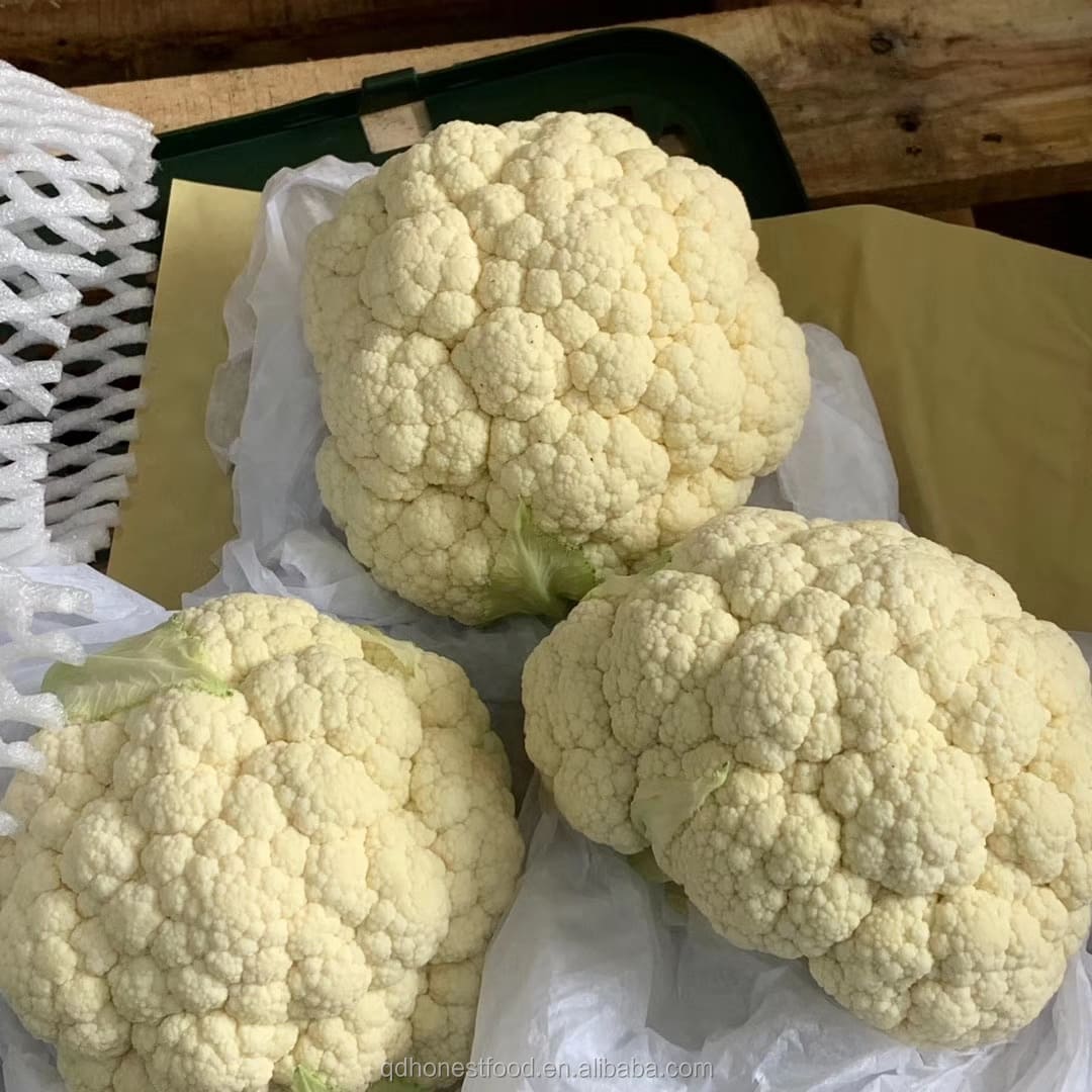 Aton Green Egypt Fresh Fruits & Vegetables